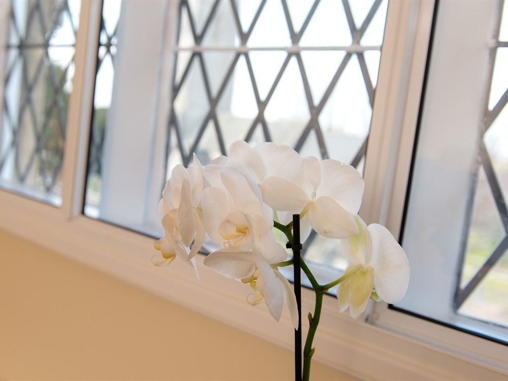 The School House Bed & Breakfast Bridgwater Ngoại thất bức ảnh